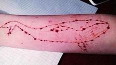 عااااجل… أول ضحية للعبة الحوت الأزرق بالجلفة